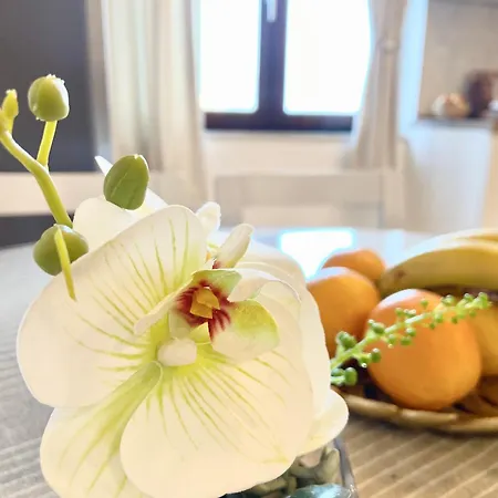 Апартаменты Golden *